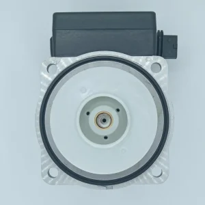 Двигатель циркуляционного насоса Protherm Пантера v18 0020078492 (аналог 0020020023)